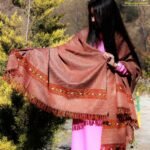 Brown Pure Wool Purely Hand Woven Embroidered Handloom Shawl