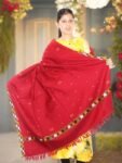 Handloom-Woven-Kullu-Design-Wool-Shawl4-1.jpg